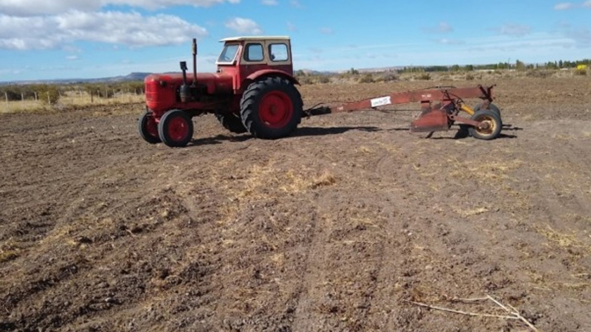 El Ministerio de Agricultura, Ganadería, Industria y Comercio colaboró con la siembra de pasturas en Sarmiento