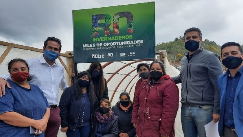 Invernaderos: "Aprendimos que desde lo simple de una semilla puede surgir nuestro alimento"
