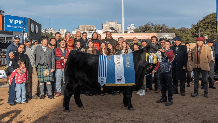 Palermo 2025: una vaca Angus hace historia al consagrarse Gran Campeona por segundo año consecutivo