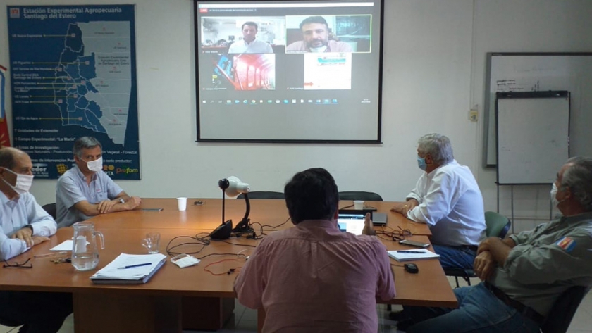 El Ministerio de Producción participó de la Primera Jornada Algodonera Virtual