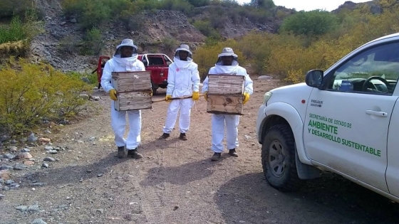 La comunidad Huarpe de Las Chacras comenzará a producir miel