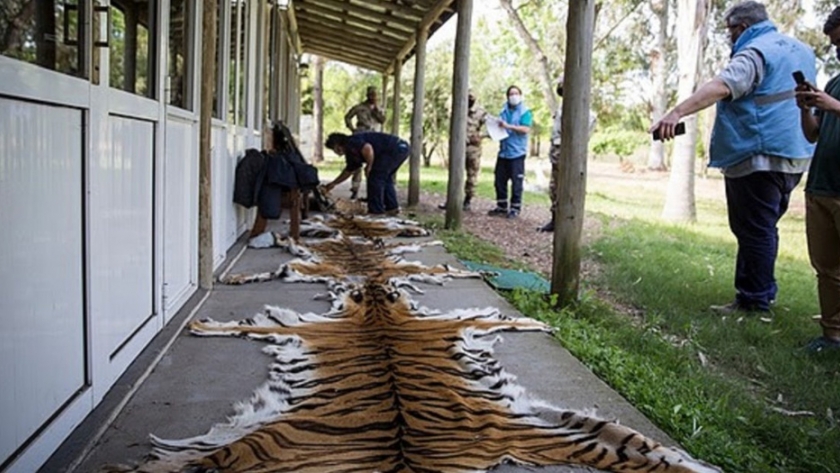 La Brigada de Control Ambiental inspeccionó centros de fauna silvestre en Entre Ríos