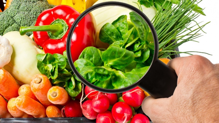 7 de Junio, Día Mundial de la Inocuidad de los Alimentos: el Senasa destacó sus funciones