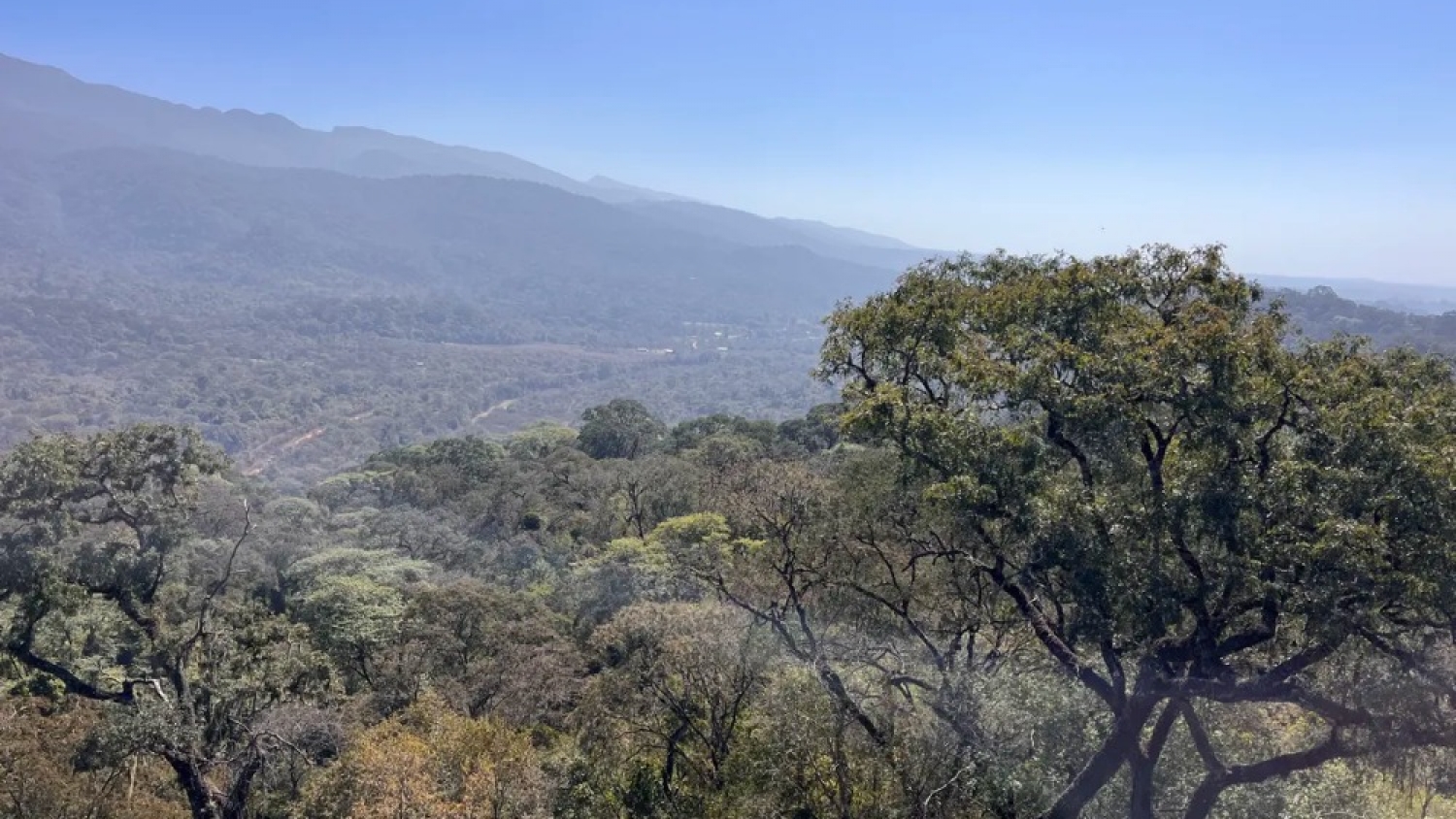 Jujuy avanza en la construcción de su primera Estrategia Provincial de Biodiversidad