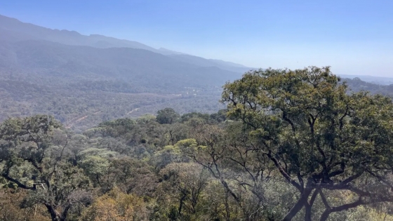 Jujuy avanza en la construcción de su primera Estrategia Provincial de Biodiversidad