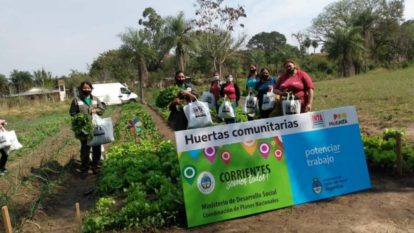 Titulares del Plan Potenciar Trabajo realizaron su primera cosecha
