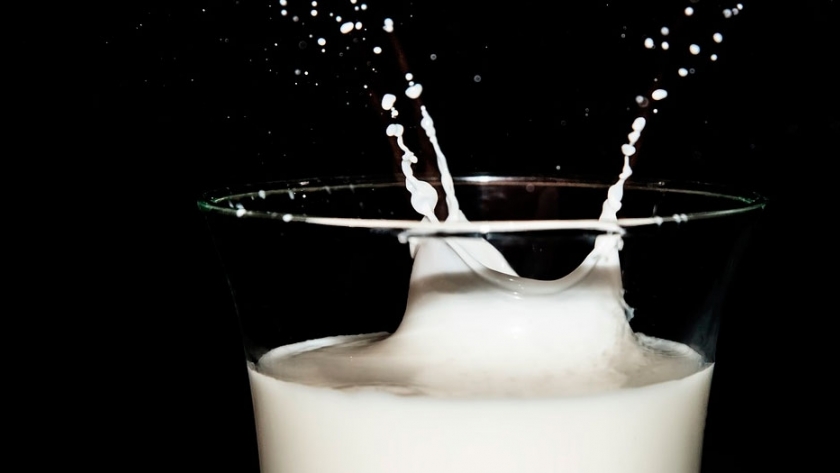 La producción de leche aumentará un 20% en los próximos diez años