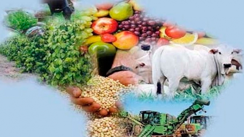  Cae un 2,4% la proyección de crecimiento de la agroindustria brasileña para 2020
