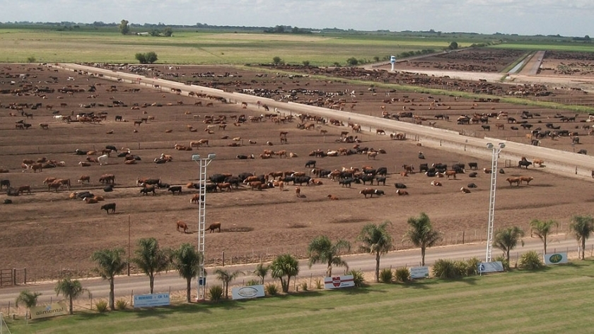 Crece el uso de tecnología en los rodeos