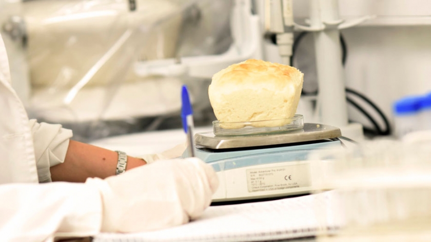 La UNLP elabora panes funcionales con más proteínas para equilibrar la dieta alimentaria 