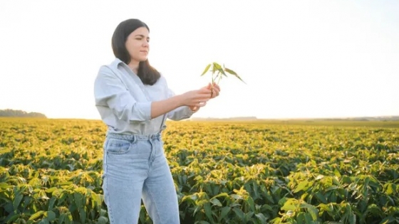 El seguro agropecuario como respuesta a la incertidumbre climática y los imprevistos económicos