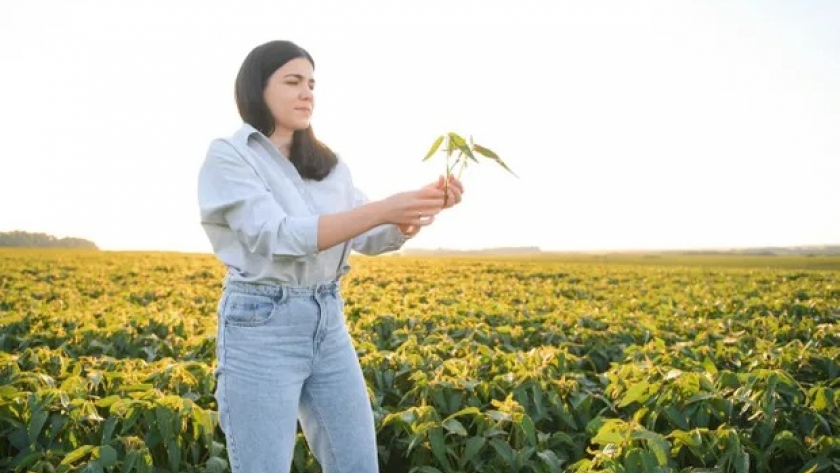 El seguro agropecuario como respuesta a la incertidumbre climática y los imprevistos económicos