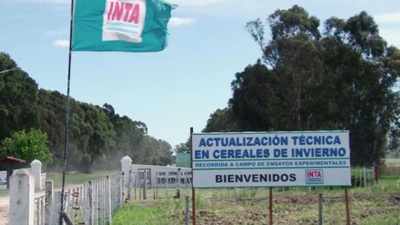 Reestructuración en el INTA: conflictos internos y la creación de un nuevo organismo