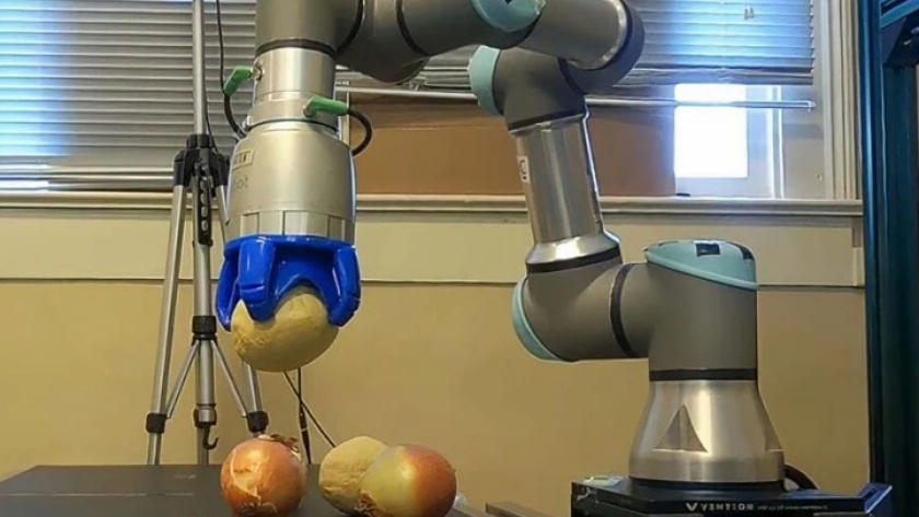 Innovación Robótica en la Agricultura: Un Cambio Revolucionario en la Clasificación de Cebollas en Georgia
