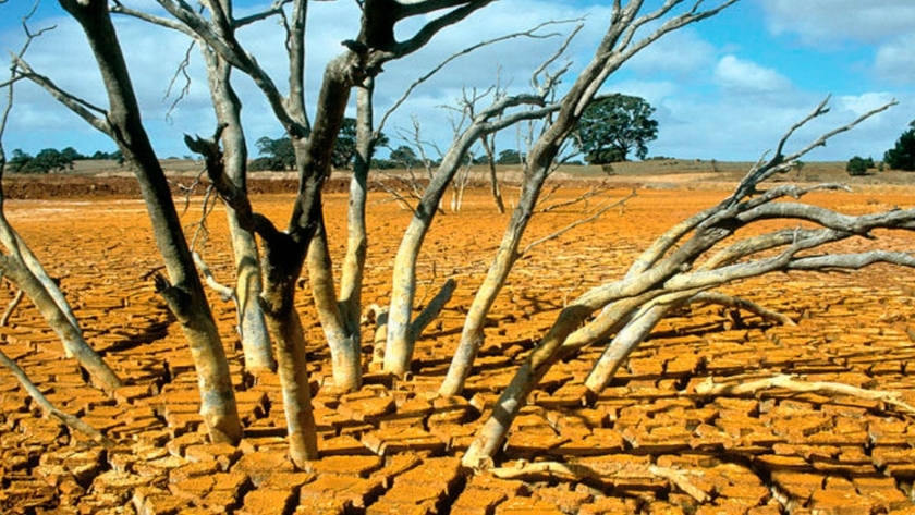 La contaminación del suelo tiene graves consecuencias