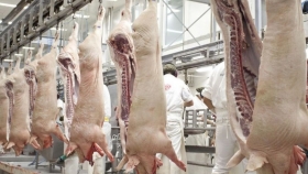 Brasil registra un récord histórico de exportaciones de carne de cerdo durante el mes de marzo