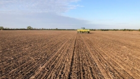 En pleno inicio de la siembra de trigo los productores argentinos ya vendieron por anticipado casi tres millones de toneladas