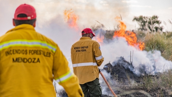 Capacitación y taller participativo del Plan Provincial de Manejo del Fuego de Mendoza para la Dirección de Hidráulica