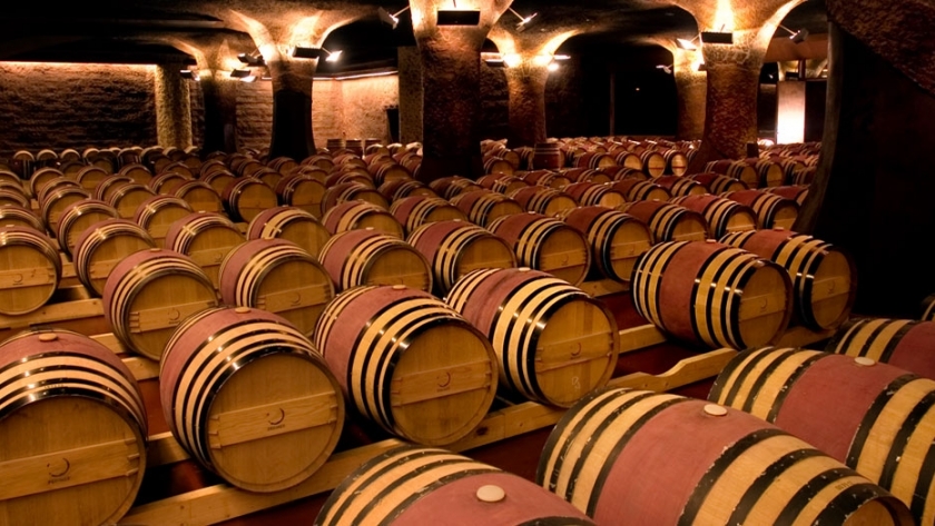 Las bodegas quieren atraer a los jóvenes