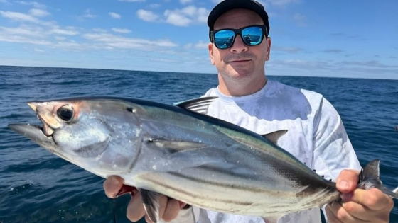 El regreso del atún barrilete transforma el verano en el puerto de Mar del Plata