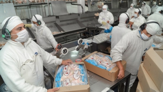 Argentina vuelve a exportar carne aviar a la Unión Europea