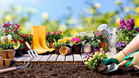 Seminario gratuito de jardinería en Rojas: fuentes de agua y aromas para tu jardín