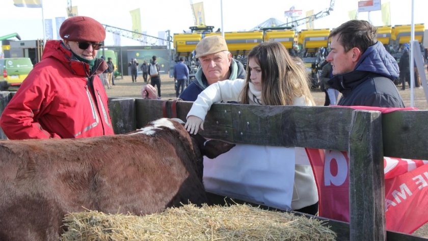 Explotaron las calles de AgroActiva