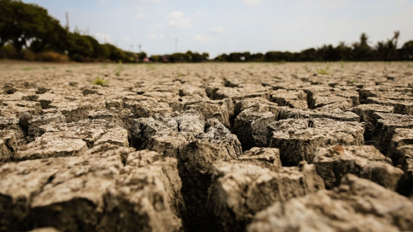 México promueve sistemas de agricultura sustentable para mitigar el cambio climático