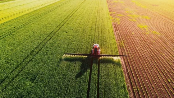 Desgaste silencioso: la Argentina enfrenta niveles críticos de nutrientes esenciales en los suelos