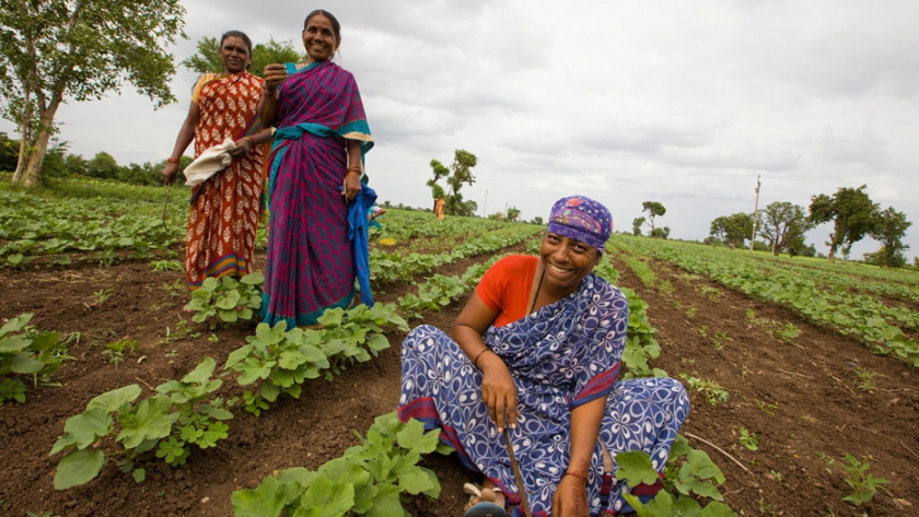 Sudáfrica: Agricultura del Cabo Occidental sobre la seguridad alimentaria
