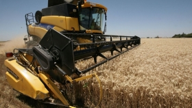 Impuestos de cada hectárea de trigo-soja 21/22 representarían más de la mitad del margen
