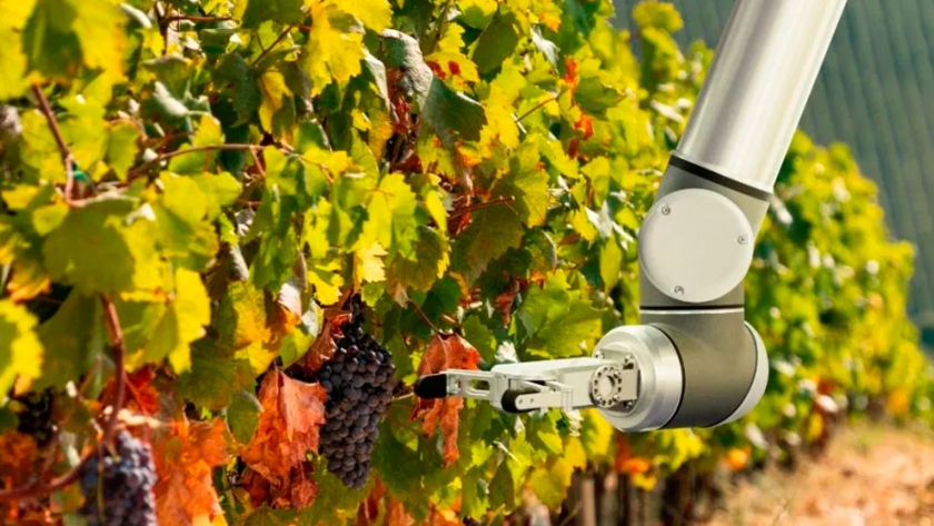 La tecnología no acaba de despegar en viticultura