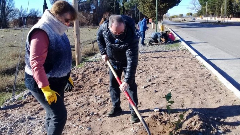 Arzani participó de la plantación de árboles en 28 de Julio