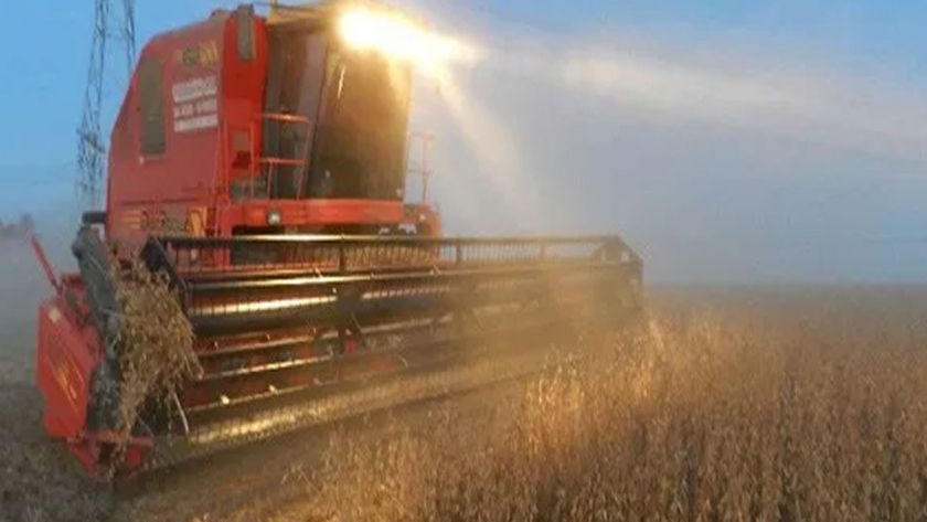 China aumentó 12,2% las importaciones de productos agropecuarios en marzo