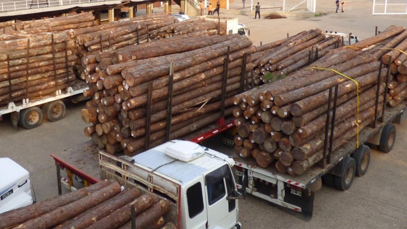 Crecieron las exportaciones entrerrianas durante el primer cuatrimestre de 2020