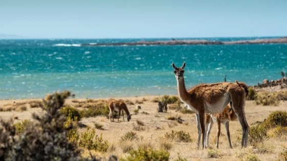 Cabo Raso: el destino patagónico donde no hay señal ni internet