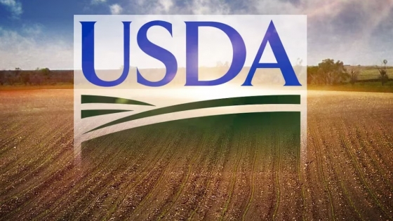 Optimismo moderado en el mercado de granos tras informe del USDA