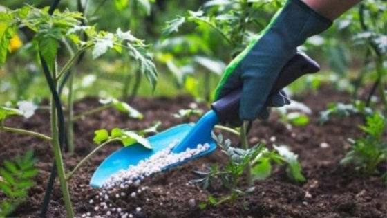 Velas, aromas y naturaleza: llega un nuevo seminario de jardinería especial en septiembre