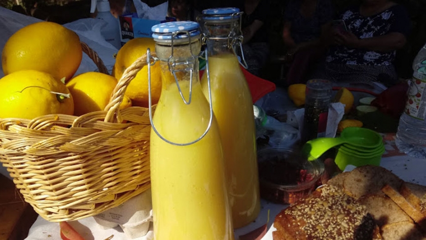 Cómo sacarle el jugo a los cítricos agroecológicos