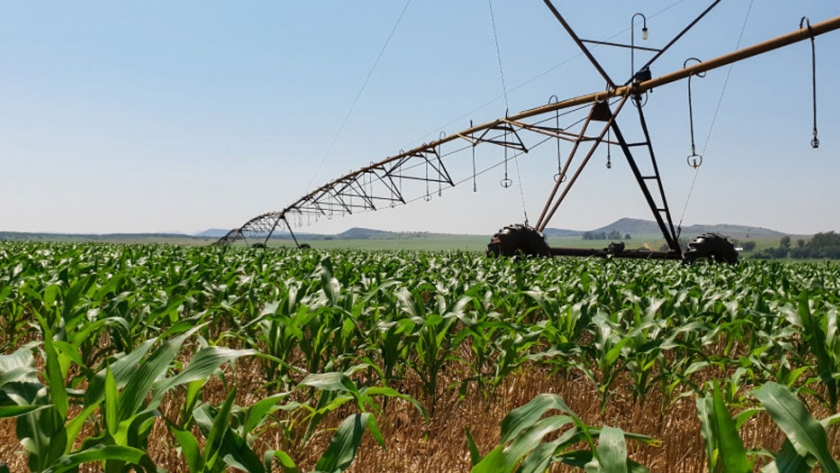 Agricultura: la clave para un crecimiento económico inclusivo