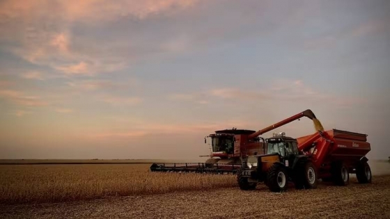 Santiago del Estero se destaca en la producción de maíz y soja en Argentina