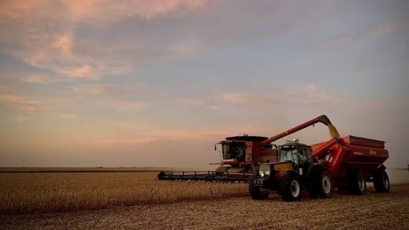 Santiago del Estero se destaca en la producción de maíz y soja en Argentina