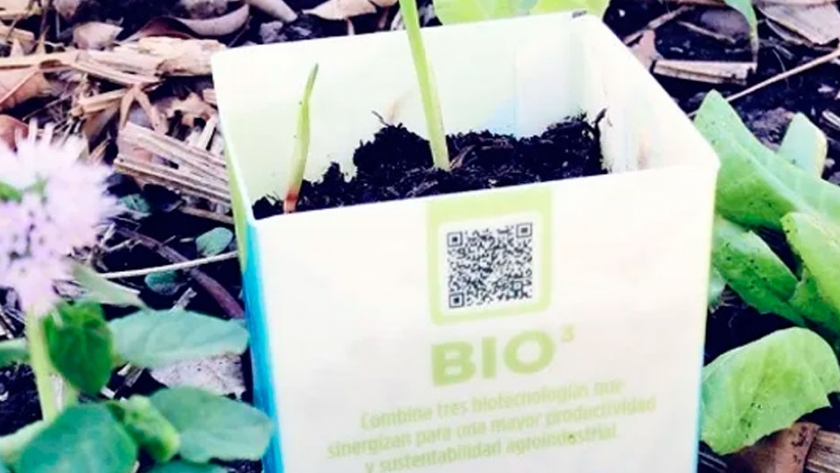 Estimular la producción sustentable: cómo obtener el sello Bioproducto Argentino