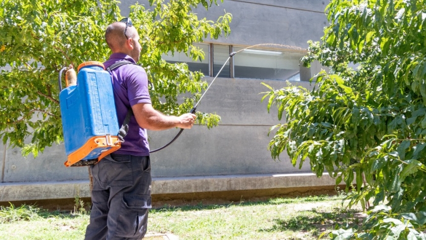 El Programa de Erradicación de la Mosca de los Frutos realizó 130 mil visitas domiciliarias