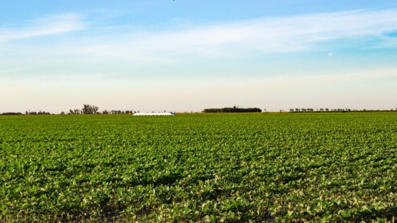 INTA presenta nueva carta de suelos para Patagones: clave para la planificación productiva