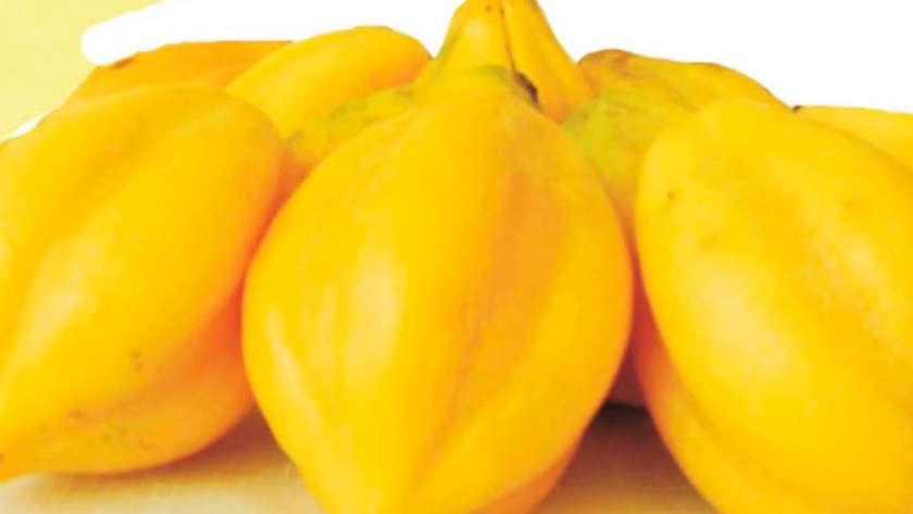 Utilizan proteína de la papaya como modelo para inhibir enzimas que usa el coronavirus para afectar a humanos