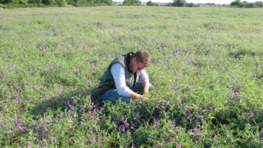 Agroempresa Semillas