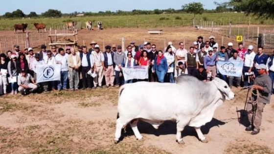 Buscan potenciar el desarrollo productivo de las cabañas bovinas del centro-oeste de Formosa