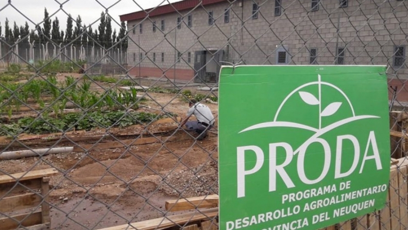 Municipios afianzan la implementación de PRODA en Casa