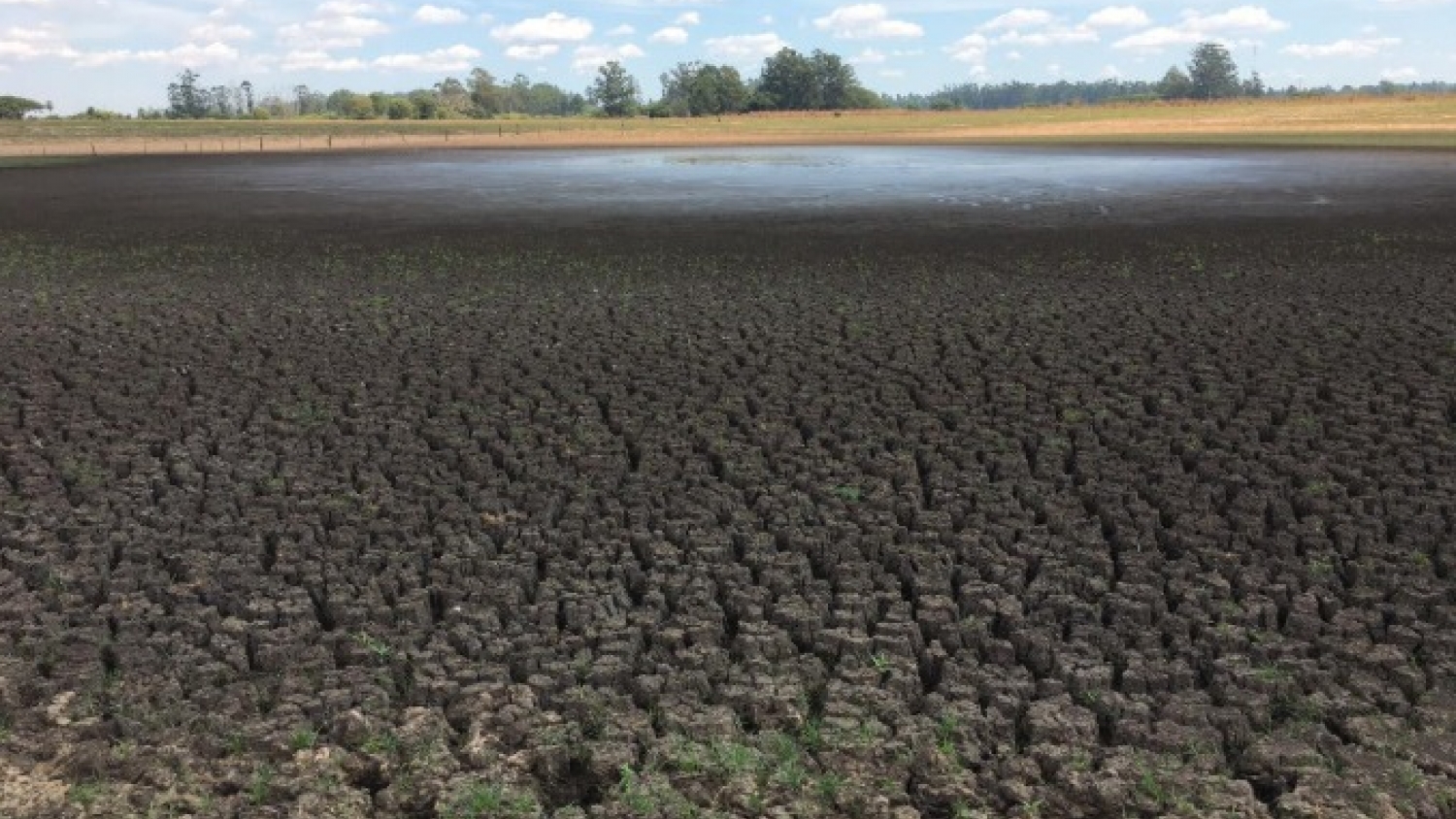Restaurar la tierra para enfrentar la crisis de degradación